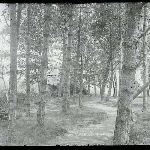 'The Pines', Lea Mount, Dawlish