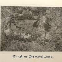 A trough in Diamond Lane