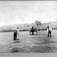 Farming at Foxworthy, 1880s