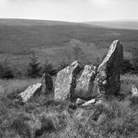 Assycombe stone row, Fernworthy
