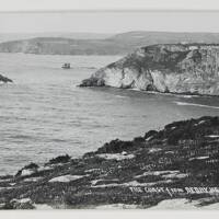 The coast from Berry Head
