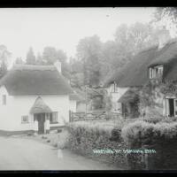 Thatched cottages, Harpford