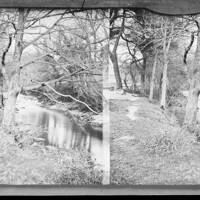 Stereoscopic view of a river