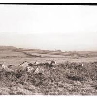 Hut Circle on Shaugh Prior Moor