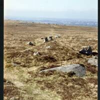 1/21 Reave Shaugh Moor 18/4/1994