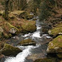 The River Bovey Through Lustleigh Cleave