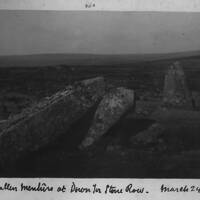 Two fallen menhirs at Down Tor stone row