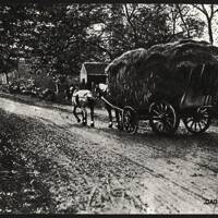 Cart laden with Hay
