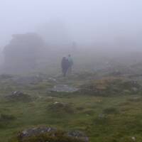 Dartmoor Fog