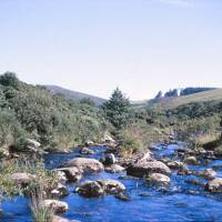 East Dart river at Laughter Hole