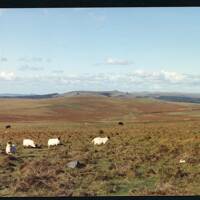 29/66 Near Hen Tor Brook North to Sheepstor Sharp, Lether, Gutter and Great Mis Tor 19/10/1991