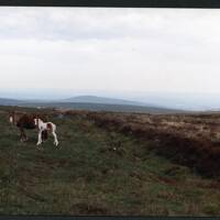 7/30 Zeal Tor tramway to Breat Hill 22/5/1991