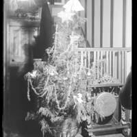 Christmas tree 1934 at Oakley