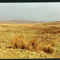 19/19 Above source of River Mardle 12/4/1991