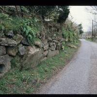 Venville Stone built into wall near Moortown