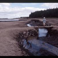 Drought at reservoir Fernworthy 