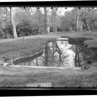 Pond in grounds of Port Eliot