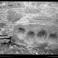 Mortar Stones Found in the Wall of a Pig House at Little Horrabridge