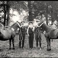 John White, George Cooper & another with ponies