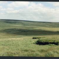 7/44 Fen above Kit Steps and Broada Marsy 4/8/1991