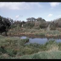Pottery pond - Bovey Tracey