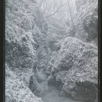 The Gorge, Lydford