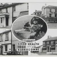 Babbacombe Postcard