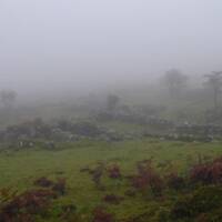 Dartmoor Fog