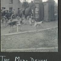 Mid-Devon foxhounds meet at Sandypark