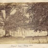 The croquet lawn at Spring Hill