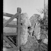 Bargate Stone, Bullhornstone farm