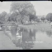 The Lawn, Dawlish, with swans 