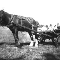Mr Willcocks at Torhill farm 1921, with horse and wagon