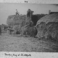Stacking hay at Sticklepath