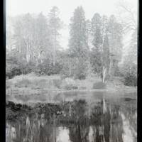 Oxton grounds, reflections in lake, Kenton