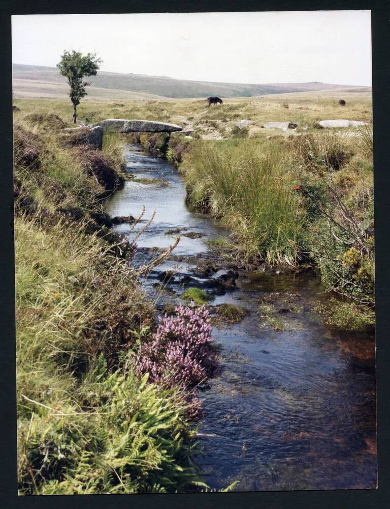 An image from the Dartmoor Trust Archive