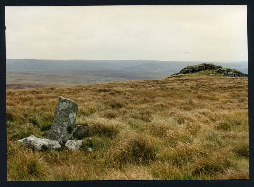 An image from the Dartmoor Trust Archive