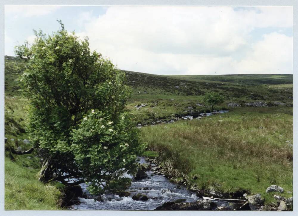 An image from the Dartmoor Trust Archive