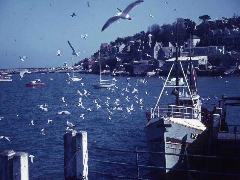 An image from the Dartmoor Trust Archive