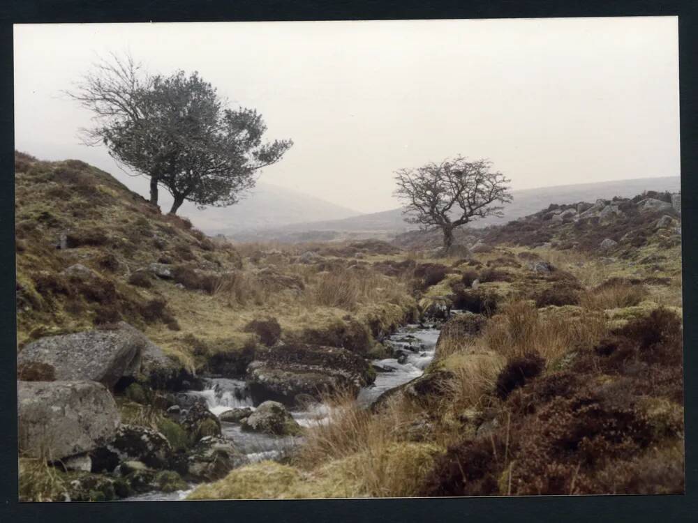 An image from the Dartmoor Trust Archive