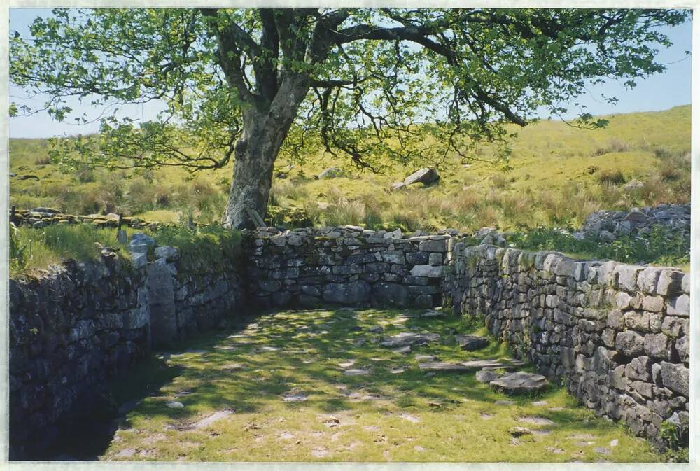 An image from the Dartmoor Trust Archive