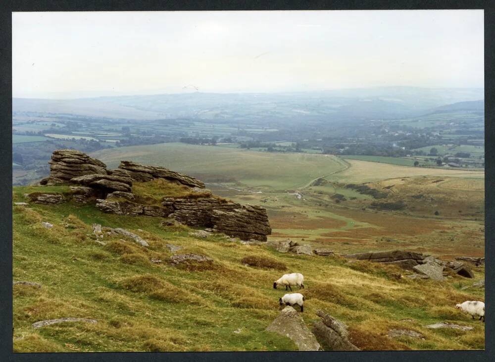 An image from the Dartmoor Trust Archive