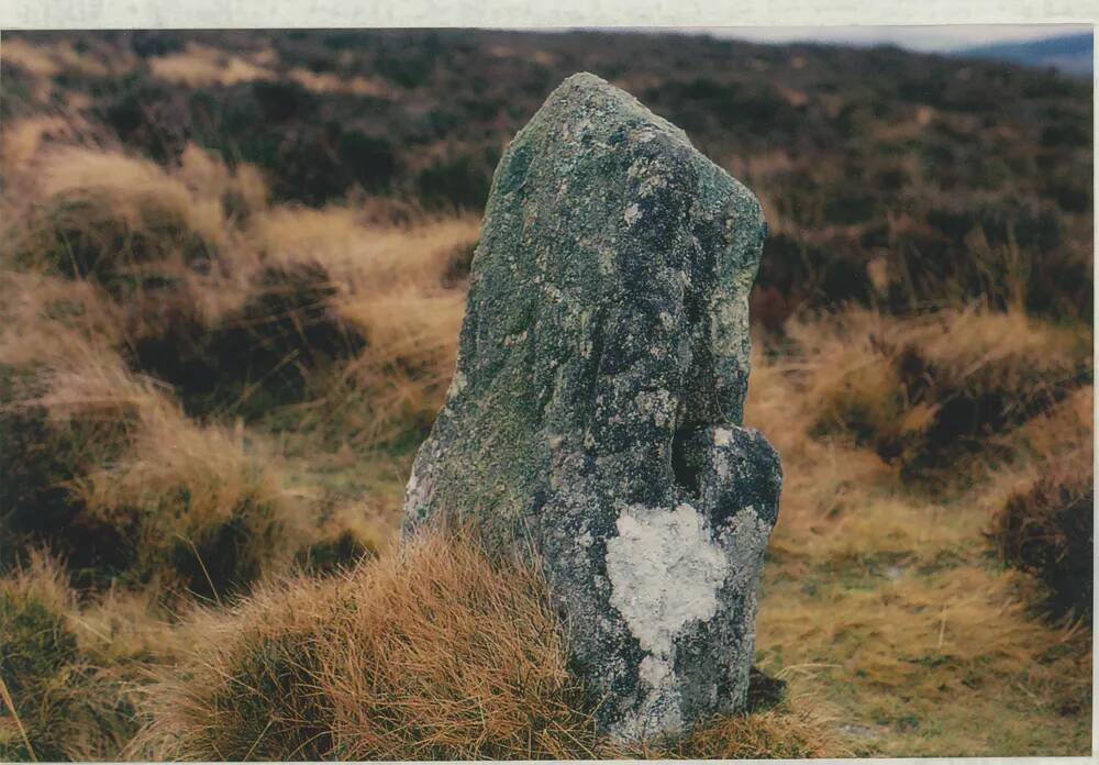 An image from the Dartmoor Trust Archive