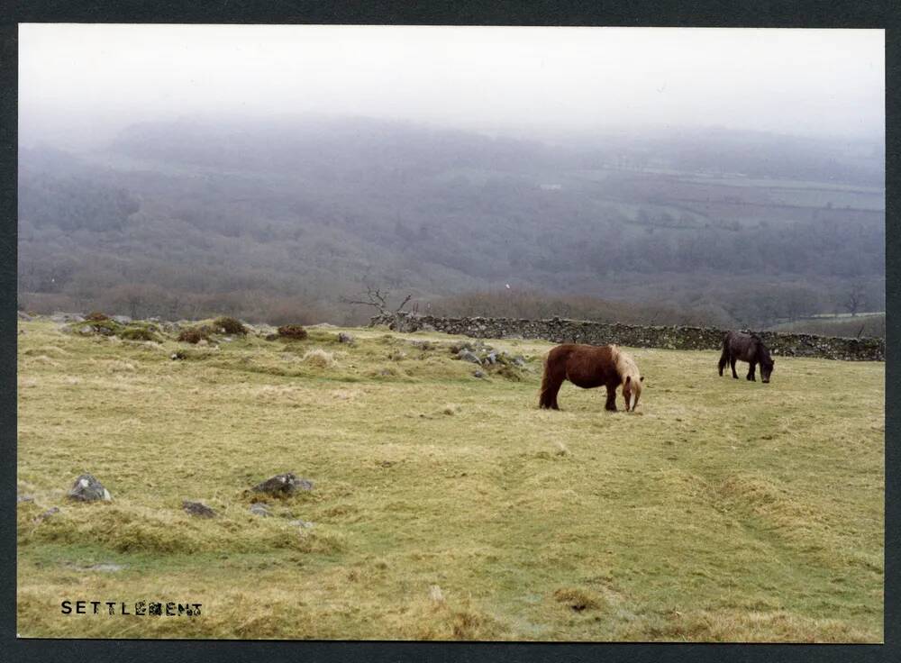 An image from the Dartmoor Trust Archive