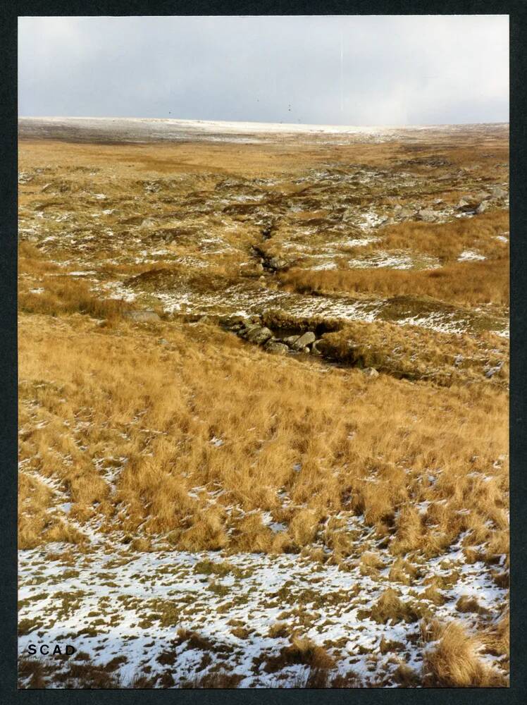 An image from the Dartmoor Trust Archive