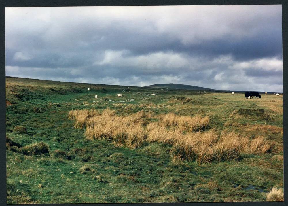 An image from the Dartmoor Trust Archive