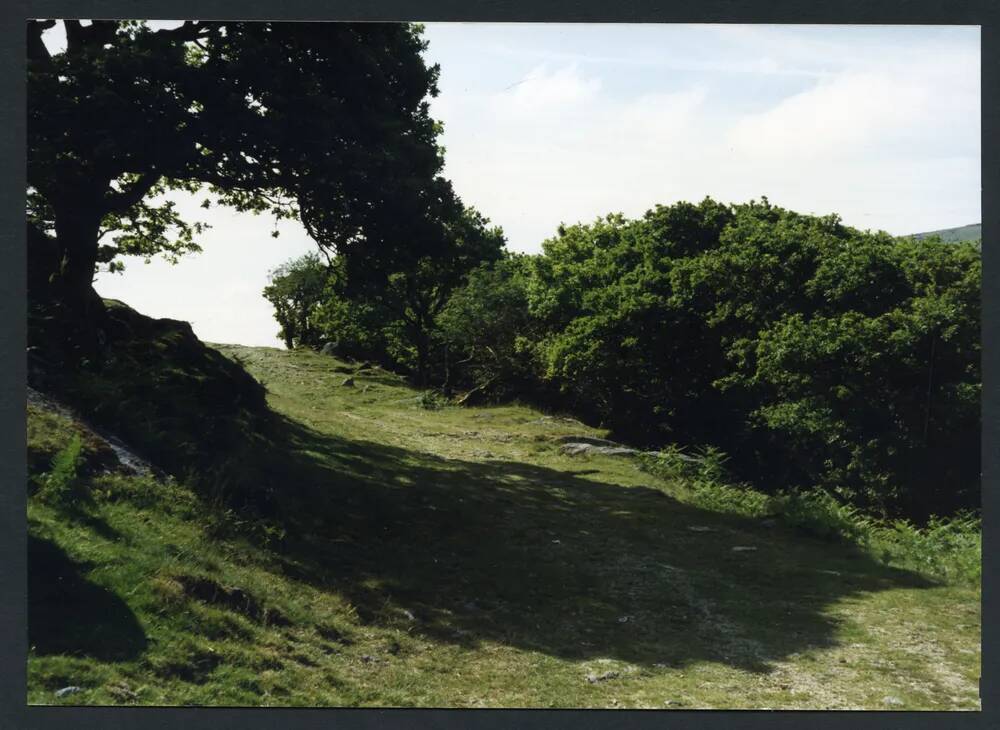 An image from the Dartmoor Trust Archive