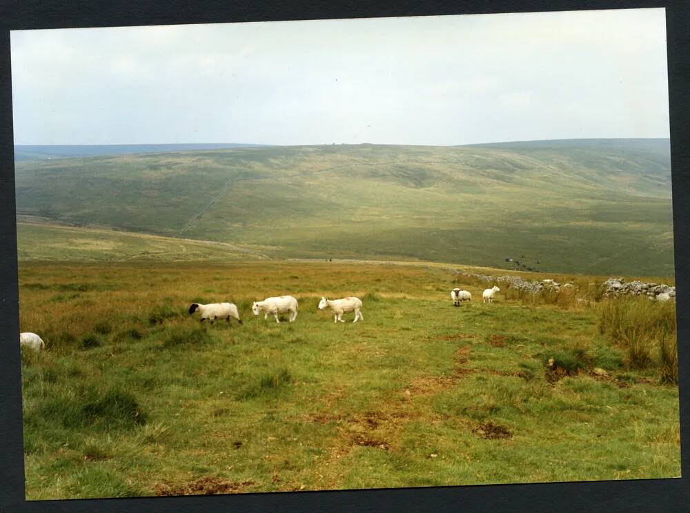 An image from the Dartmoor Trust Archive