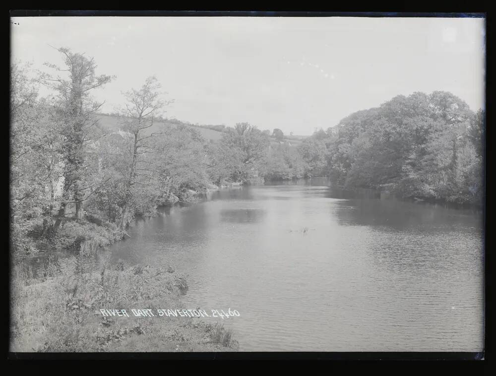 River Dart from Bridge, Staverton