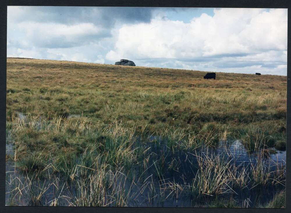 An image from the Dartmoor Trust Archive